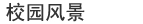#cccccc 1px solid